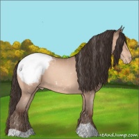 Horse Color:Sable Champagne Snowcap 