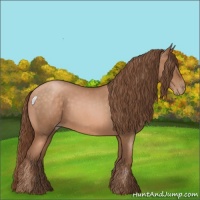 Horse Color:Brown Roan Pearl 