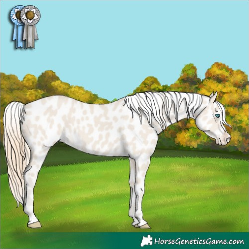 Horse Color:Smoky Creme Dun Appaloosa 