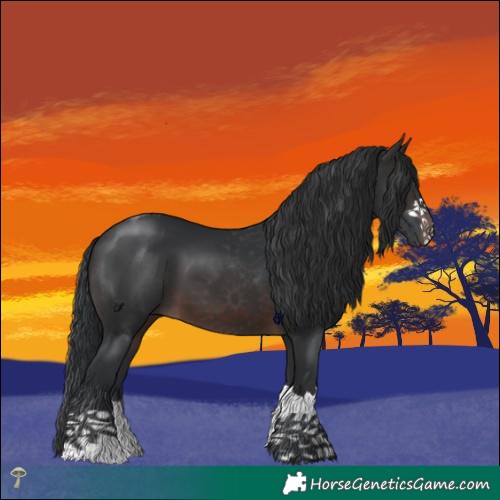 Horse Color:Brown Mushroom