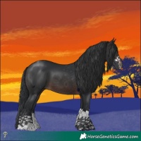 Horse Color:Brown Mushroom 