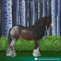 Horse Color:Brown Mushroom 