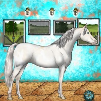 Horse Color:White Spotted Silver Sable Cream Champagne Pearl Dun 