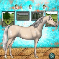 Horse Color:White Spotted Silver Sable Champagne Dun Rabicano
