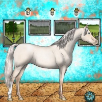Horse Color:Silver Sable Champagne Roan Pearl Dun 