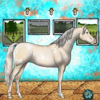 Horse Color:White Spotted Silver Classic Champagne Pearl Dun 