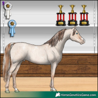 Horse Color:White Spotted Silver Sable Champagne Pearl Dun  and Gold Champagne Roan Dun 