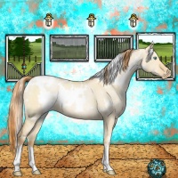 Horse Color:White Spotted Buckskin Pearl Dun Snowflake Varnish 