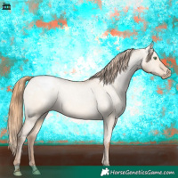 Horse Color:Bay Pearl Dun Snowcap 
