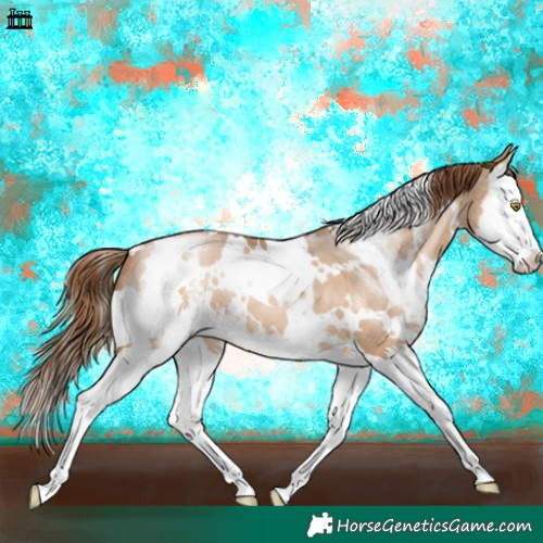 Horse Color:White Spotted Brown Pearl Dun Sabino Splash