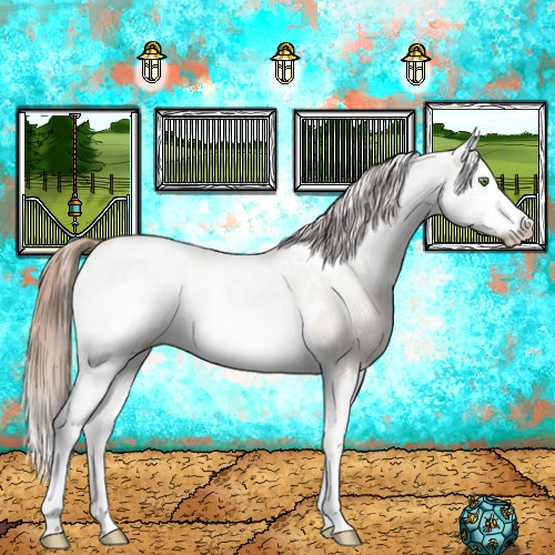 Horse Color:White Spotted Classic Champagne Dun Splash Appaloosa 