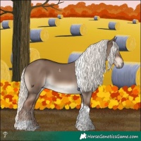 Horse Color:Liver Red Dun Mushroom Tobiano 