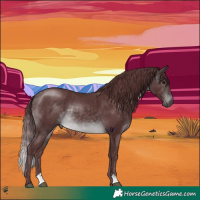 Horse Color:Platinum Chocolate Buckskin 