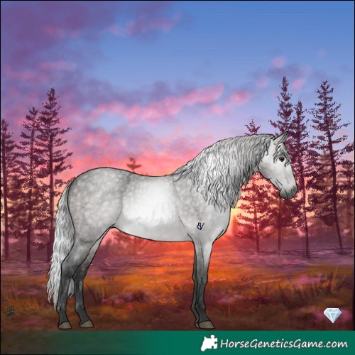 Horse Color:Gray Platinum Silver Buckskin Roan 