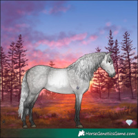 Horse Color:Gray Platinum Silver Buckskin Roan 