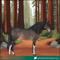 Horse Color:Platinum Brown Tobiano 