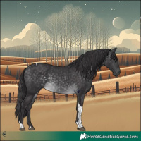 Horse Color:Platinum Buckskin Tobiano 