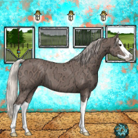 Horse Color:Silver Black Ice Splash 