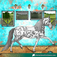 Horse Color:Black Ice Tobiano Near Leopard 