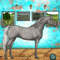 Horse Color:Silver Blue Ice Roan