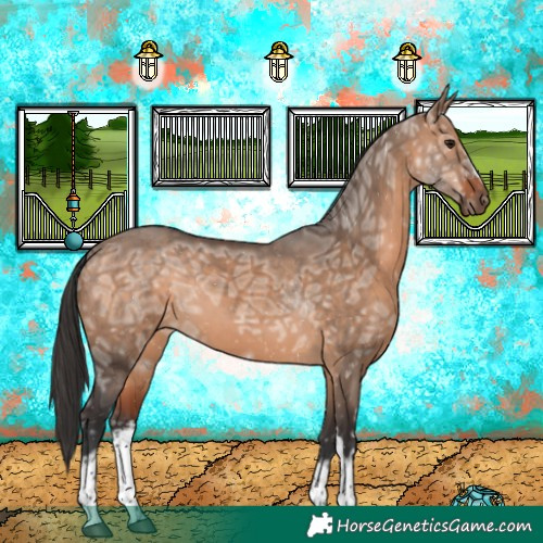 Horse Color:White Spotted Bay Ice Dun 