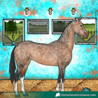 Horse Color:White Spotted Bay Ice Dun