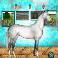 Horse Color:Gray Silver Black Ice 