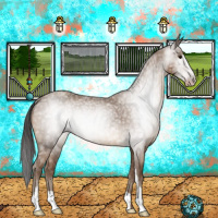 Horse Color:Gray Classic Champagne Ice Sabino Rabicano 