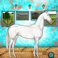 Horse Color:Gray Gold Cream Champagne Roan Pearl Dun Appaloosa 