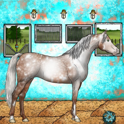 Horse Color:Gray White Spotted Silver Sable Champagne
