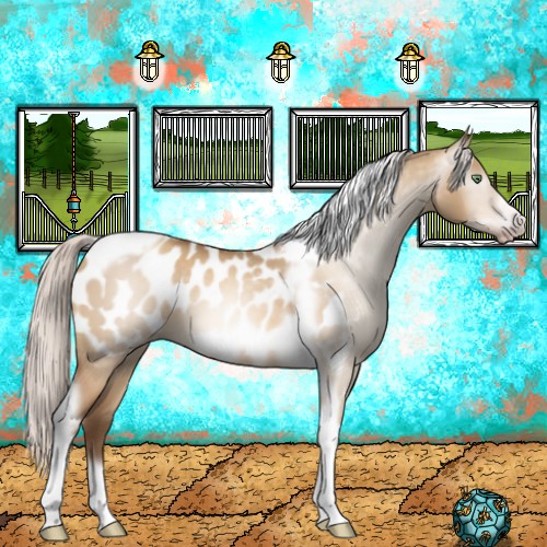Horse Color:Gray Silver Amber Champagne Dun Tobiano Frame Appaloosa 