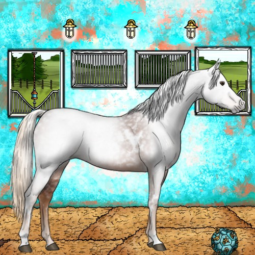 Horse Color:Gray White Spotted Chestnut 