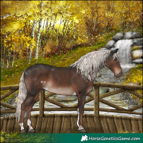 Horse Color:Liver Chestnut Mushroom Tobiano 