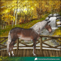 Horse Color:Liver Chestnut Mushroom Tobiano 