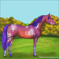 Horse Color:Watercolor Bay Ice 