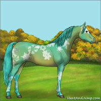 Horse Color:Watercolor Bay Ice