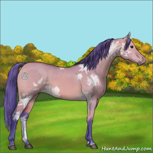 Horse Color:Watercolor Bay Ice Dun 