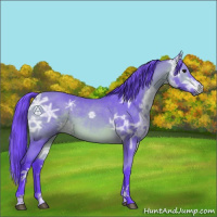 Horse Color:Watercolor Bay Ice 
