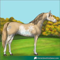 Horse Color:Watercolor Chestnut Ice 