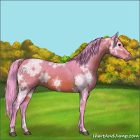 Horse Color:Watercolor Brown Ice 