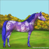 Horse Color:Watercolor Bay Ice 