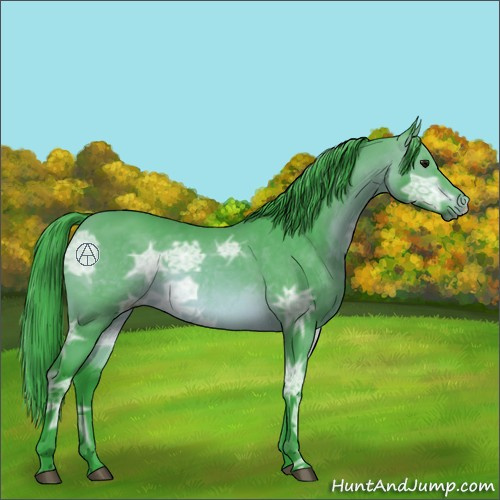 Horse Color:Watercolor Bay Ice 