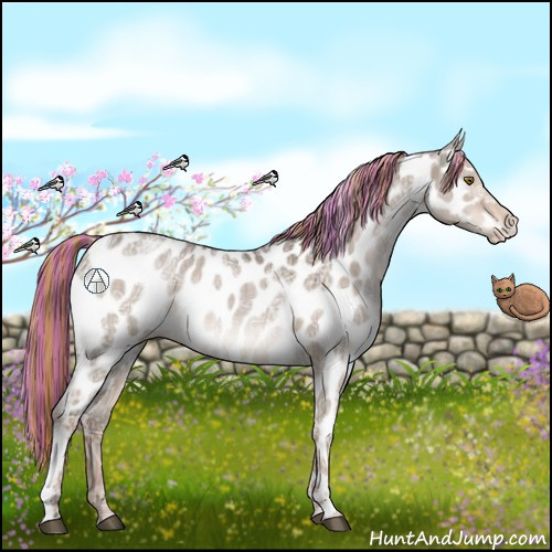Horse Color:Painted Liver Red Dun Ice Appaloosa