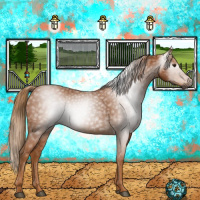 Horse Color:Gray Chestnut 