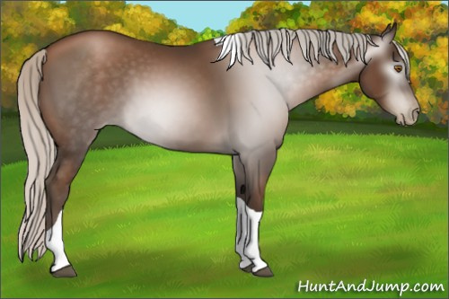 Horse Color:Gray Silver Black Pearl Tobiano 