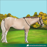 Horse Color:Chocolate Palomino Pearl Tobiano  and Chocolate Palomino Pearl Tobiano 