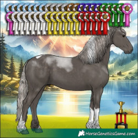 Horse Color:Silver Black Tobiano 