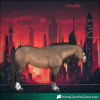 Horse Color:Brown Dun  and Brown Dun 