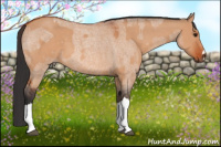 Horse Color:Bay Dun  and Bay Roan Dun 