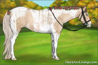 Horse Color:Chocolate Palomino Pearl Tobiano  and Palomino Pearl Tobiano 